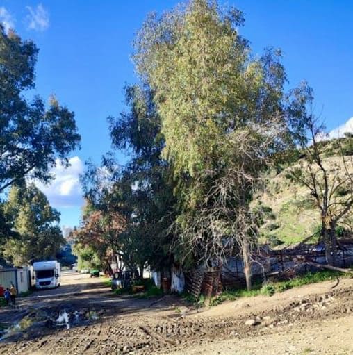 Finca/Landehus til salg i Olvera - € 754.000 (Ref: 9156152)