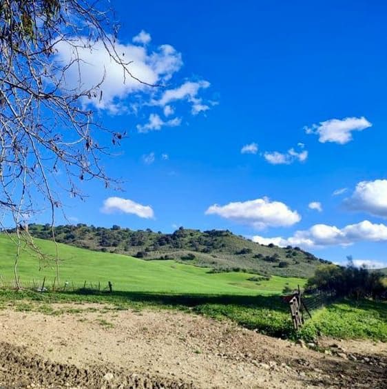 Finca/Landehus til salg i Olvera - € 754.000 (Ref: 9156152)