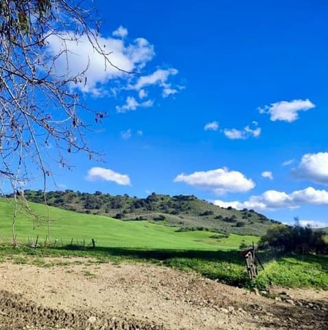 Finca/Landehus til salg i Olvera - € 754.000 (Ref: 9156152)