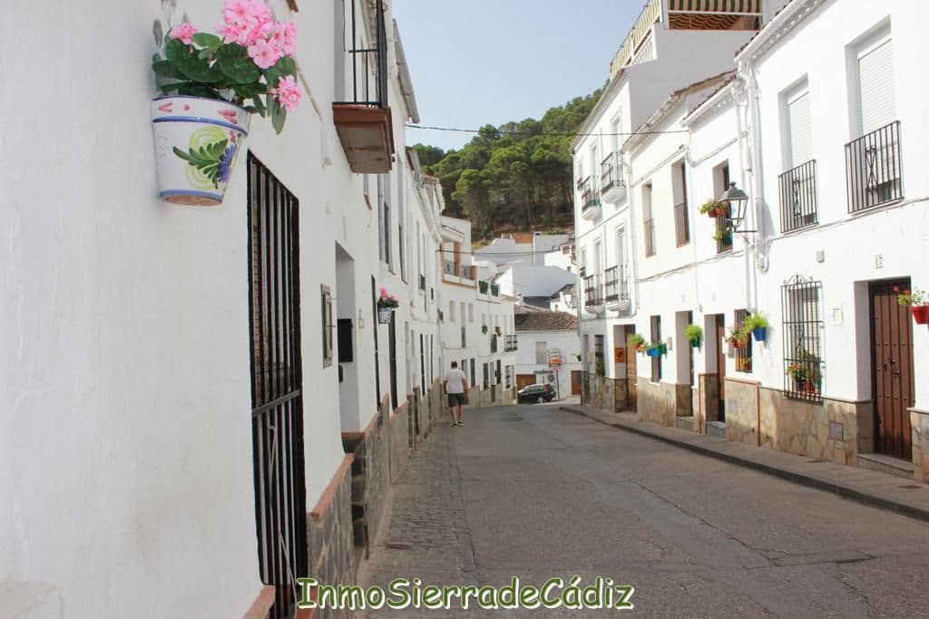 4 soverom Hus til salgs i El Gastor - € 125 000 (Ref: 9171792)