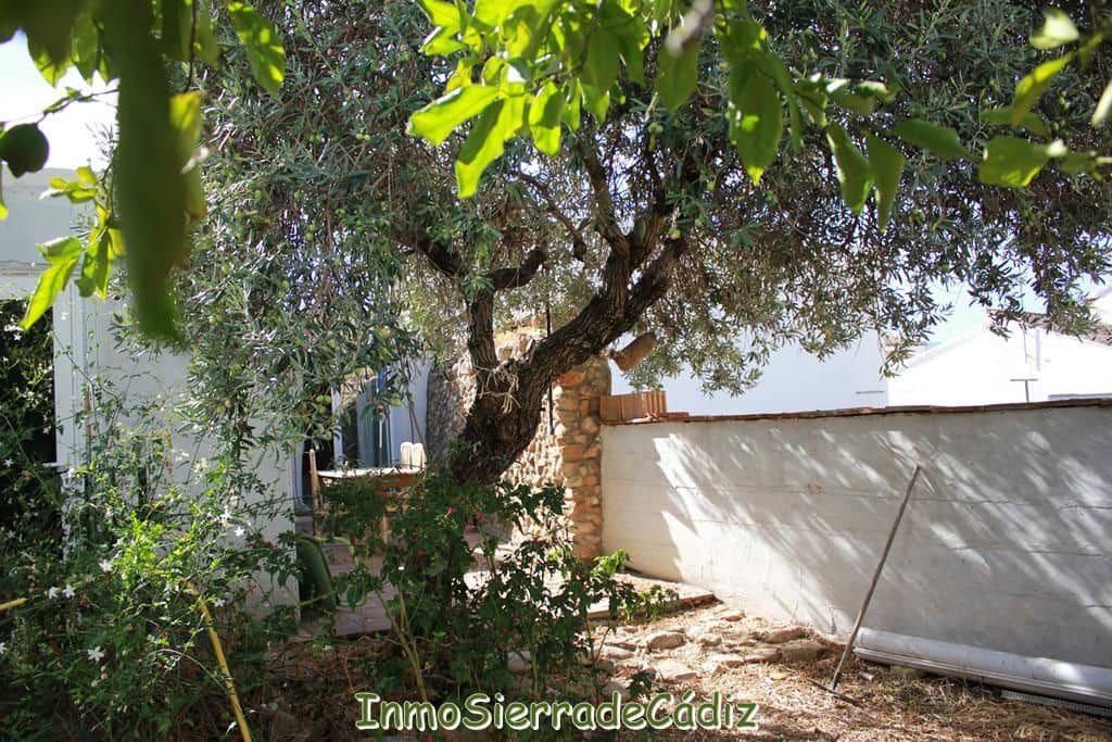 3 soverom Hus til salgs i Algodonales - € 105 000 (Ref: 9257615)