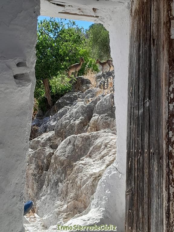 4 soverom Hus til salgs i Algodonales - € 135 000 (Ref: 9313741)