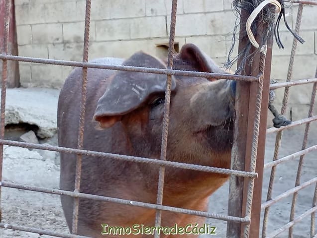 Finca/Landehus til salg i Olvera - € 59.000 (Ref: 9430823)