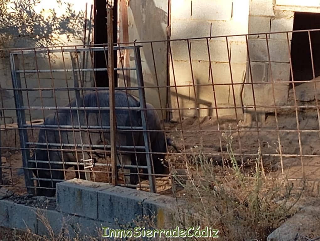 Finca/Landehus til salg i Olvera - € 59.000 (Ref: 9430823)