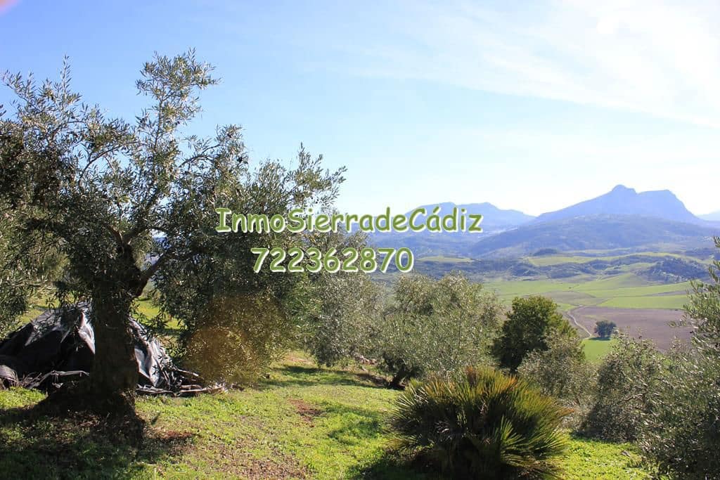 Finca/Casa Rural de 3 habitaciones en Algodonales en venta con garaje - 289.000 € (Ref: 9508527)