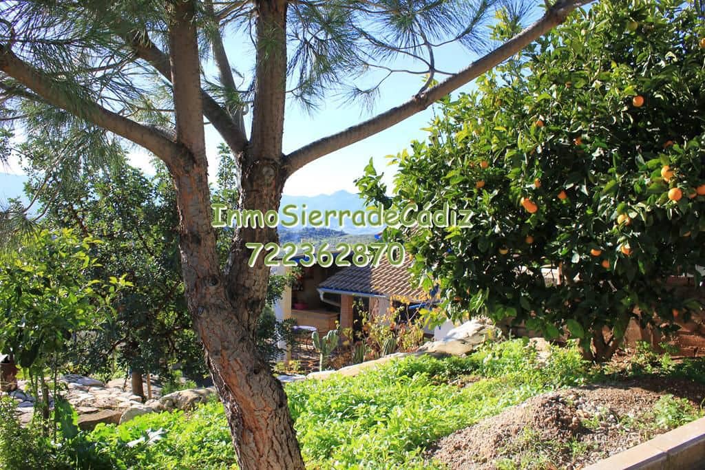 Finca/Casa Rural de 3 habitaciones en Algodonales en venta con garaje - 289.000 € (Ref: 9508527)