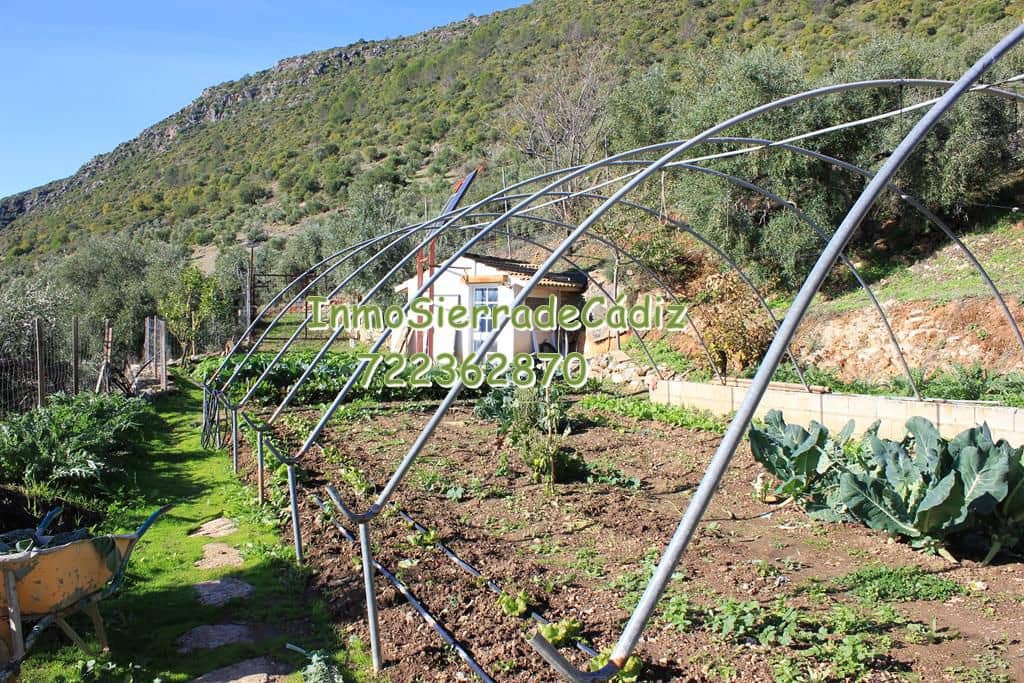 Finca/Casa Rural de 3 habitaciones en Algodonales en venta con garaje - 289.000 € (Ref: 9508527)