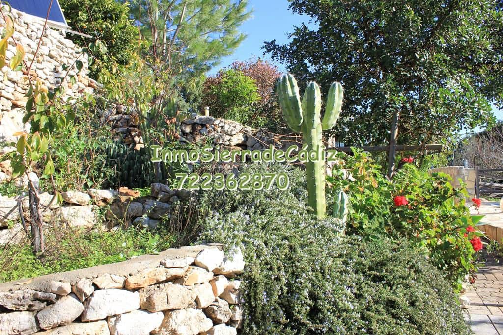 Finca/Casa Rural de 3 habitaciones en Algodonales en venta con garaje - 289.000 € (Ref: 9508527)