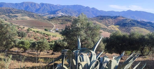 Maalaistalo myytävänä paikassa Algodonales - 79 000 € (Ref: 9604696)