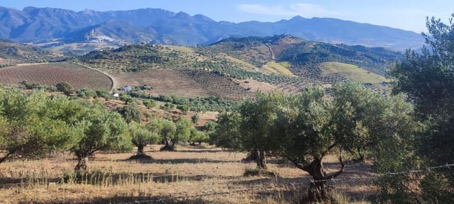 Maalaistalo myytävänä paikassa Algodonales - 79 000 € (Ref: 9604696)