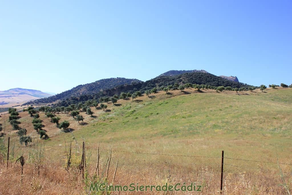 Finca/Country House for sale in Montecorto - € 185,000 (Ref: 9730394)