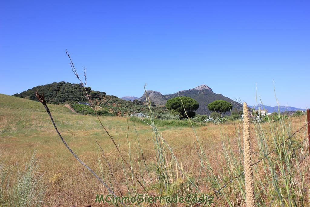 Finca/Country House for sale in Montecorto - € 185,000 (Ref: 9730394)