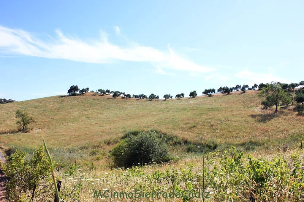 Finca/Country House for sale in Montecorto - € 185,000 (Ref: 9730394)