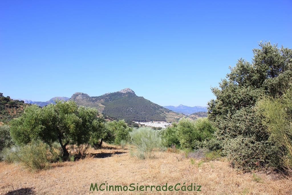 Finca/Country House for sale in Montecorto - € 185,000 (Ref: 9730394)