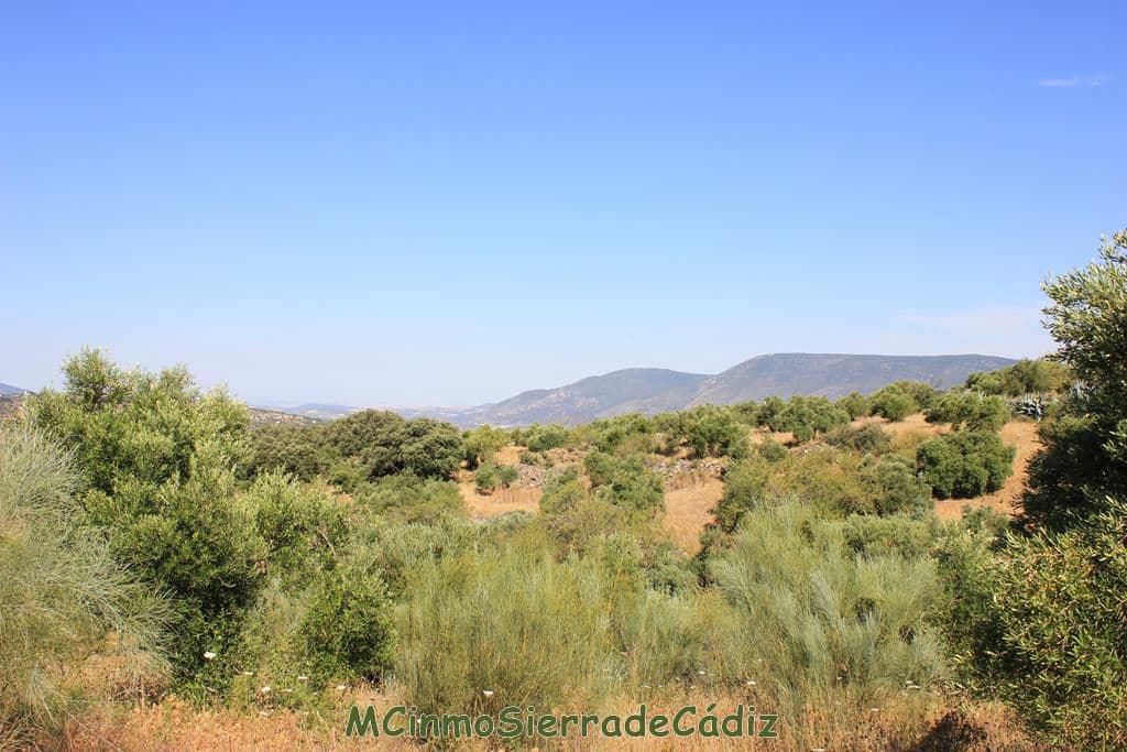 Finca/Country House for sale in Montecorto - € 185,000 (Ref: 9730394)