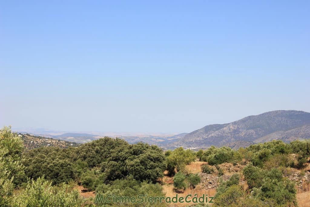 Finca/Country House for sale in Montecorto - € 185,000 (Ref: 9730394)