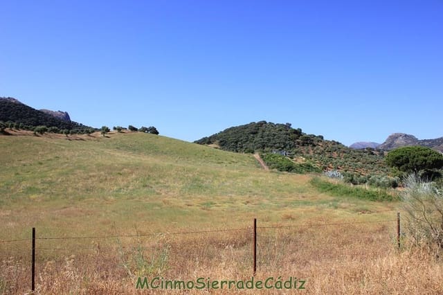 Finca/Landgut zu verkaufen in Montecorto - 185.000 € (Ref: 9730394)