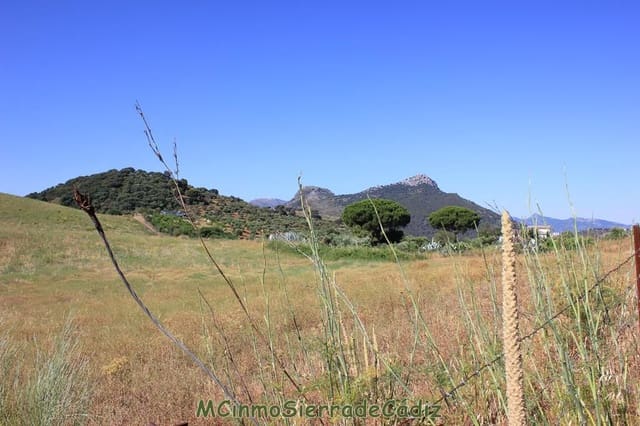 Finca/Landgut zu verkaufen in Montecorto - 185.000 € (Ref: 9730394)