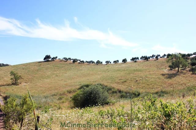 Finca/Landgut zu verkaufen in Montecorto - 185.000 € (Ref: 9730394)