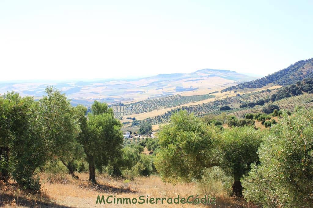 Finca/Country House for sale in Montecorto - € 185,000 (Ref: 9730394)