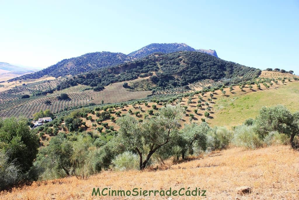 Finca/Country House for sale in Montecorto - € 185,000 (Ref: 9730394)