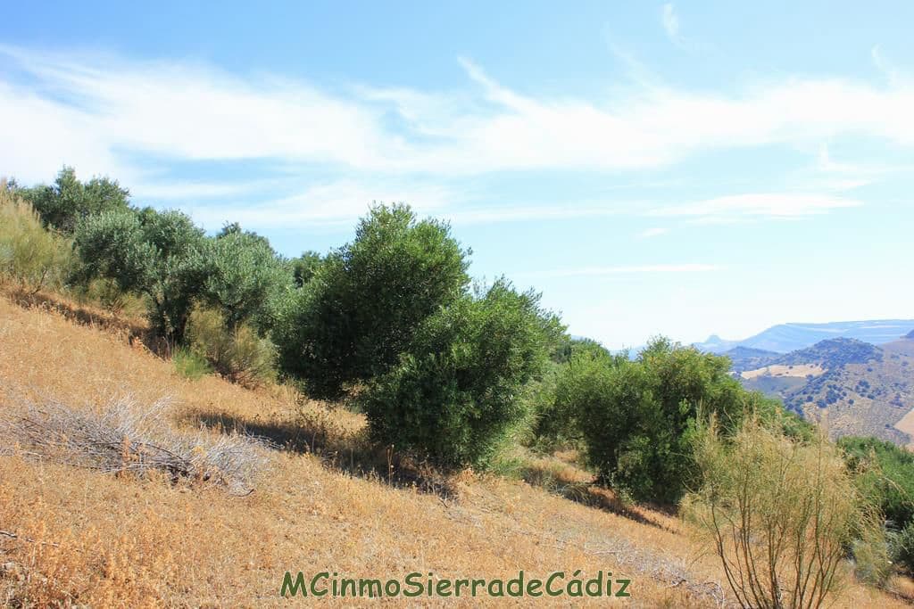Finca/Country House for sale in Montecorto - € 185,000 (Ref: 9730394)