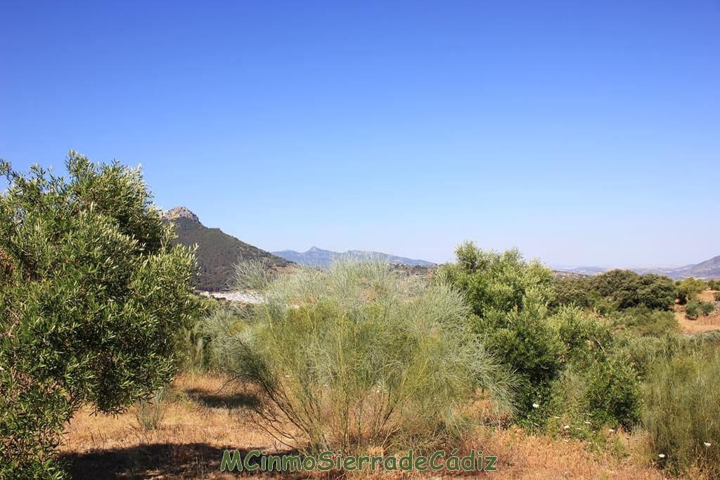 Finca/Country House for sale in Montecorto - € 185,000 (Ref: 9730394)