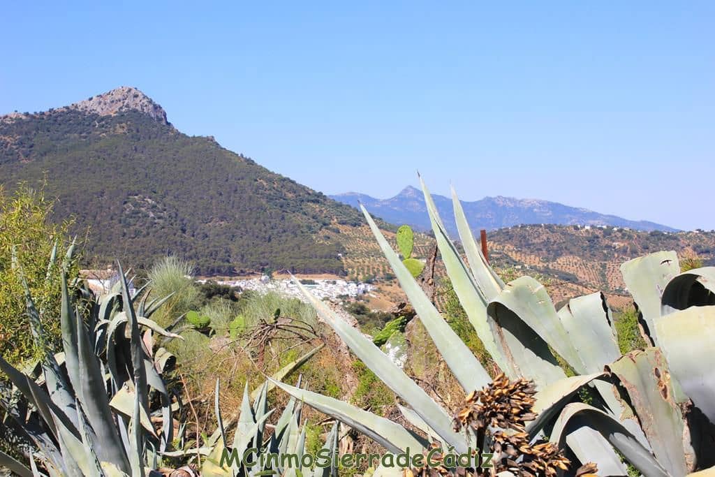 Finca/Country House for sale in Montecorto - € 185,000 (Ref: 9730394)