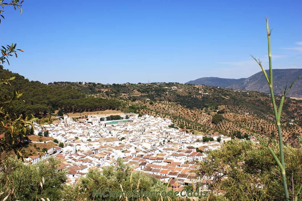 Finca/Country House for sale in Montecorto - € 185,000 (Ref: 9730394)