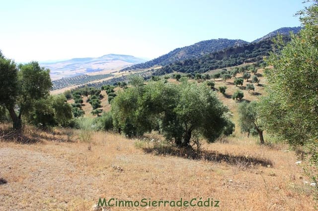 Finca/Landgut zu verkaufen in Montecorto - 185.000 € (Ref: 9730394)
