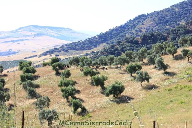 Finca/Landgut zu verkaufen in Montecorto - 185.000 € (Ref: 9730394)