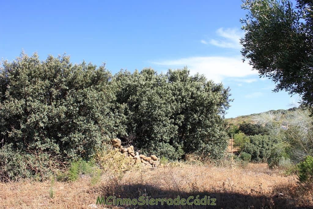Finca/Country House for sale in Montecorto - € 185,000 (Ref: 9730394)