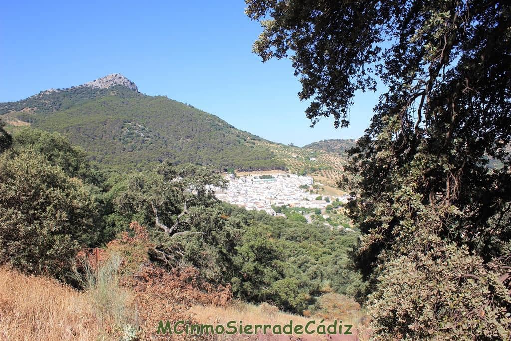 Finca/Country House for sale in Montecorto - € 185,000 (Ref: 9730394)