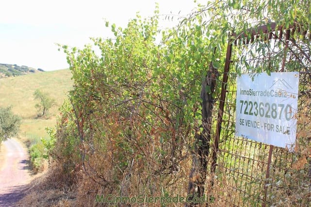 Finca/Landgut zu verkaufen in Montecorto - 185.000 € (Ref: 9730394)