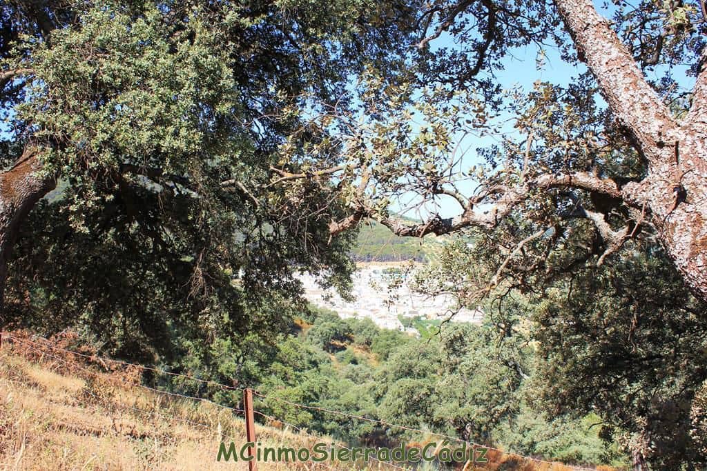 Finca/Country House for sale in Montecorto - € 185,000 (Ref: 9730394)