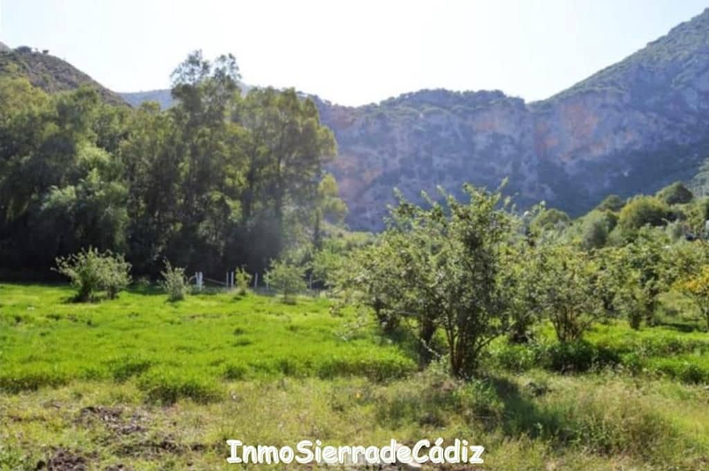 6 bedroom Finca/Country House for sale in Zahara de la Sierra - € 480,000 (Ref: 9730395)