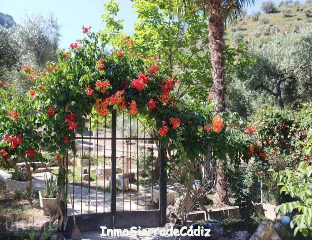 6 bedroom Finca/Country House for sale in Zahara de la Sierra - € 480,000 (Ref: 9730395)