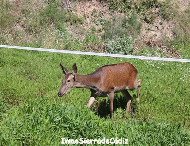 6 slaapkamer Finca/Landhuis te koop in Zahara de la Sierra - € 480.000 (Ref: 9730395)