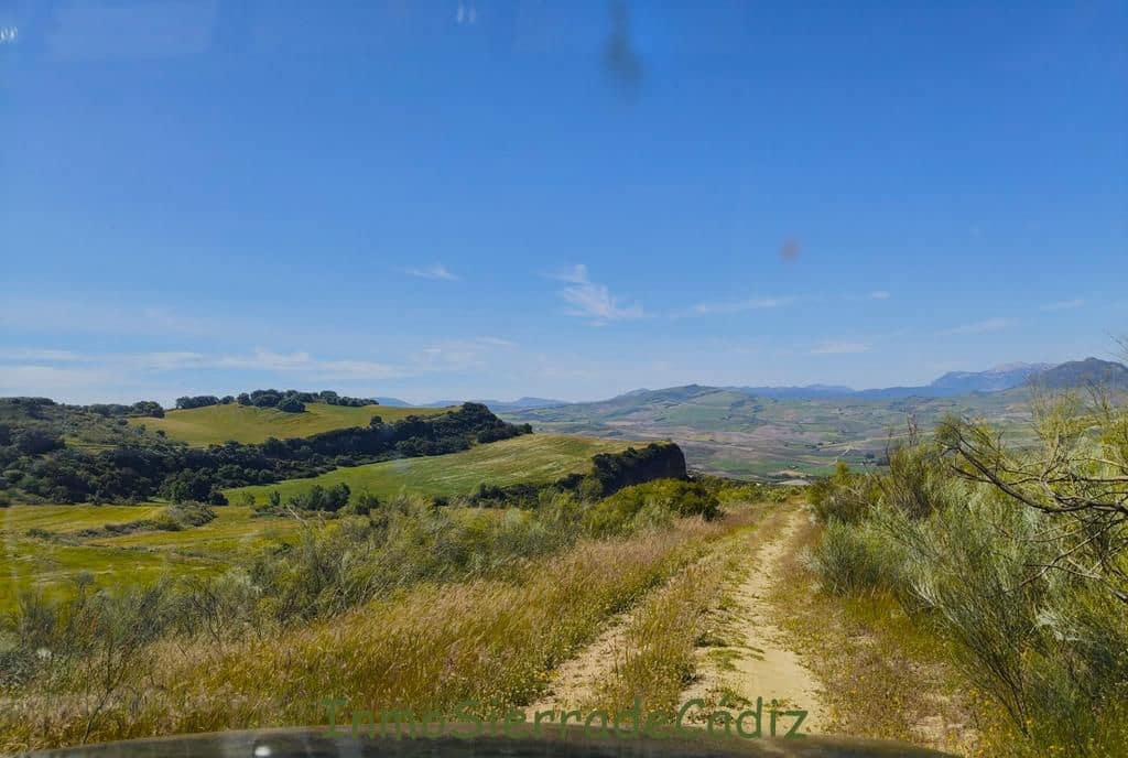 Finca/Landhuis te koop in Torre-Alhaquime - € 600.000 (Ref: 9730397)