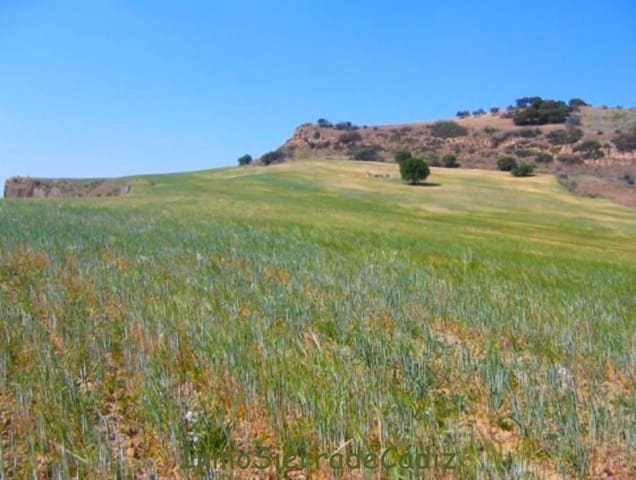 Finka/Dom wiejski na sprzedaż w Torre-Alháquime - 600 000 € (Ref: 9730397)