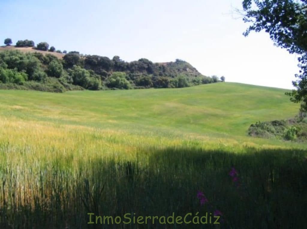 Finca/Landhuis te koop in Torre-Alhaquime - € 600.000 (Ref: 9730397)