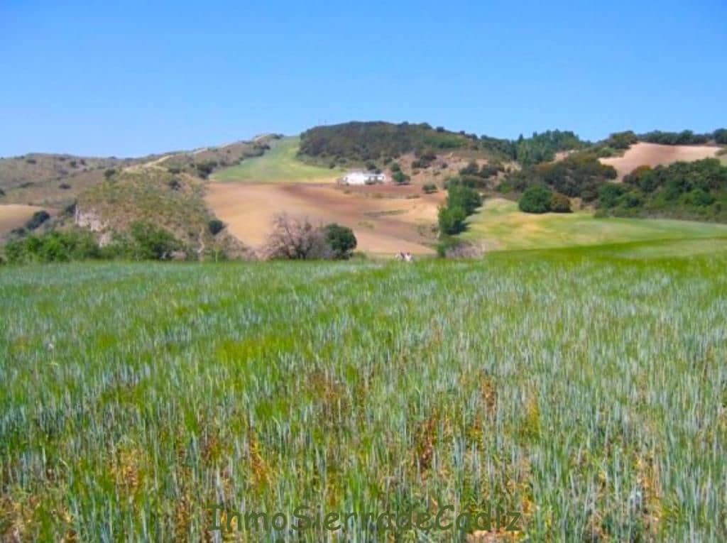 Finca/Landhuis te koop in Torre-Alhaquime - € 600.000 (Ref: 9730397)