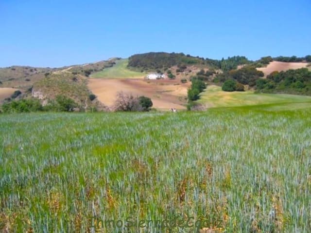 Finka/Dom wiejski na sprzedaż w Torre-Alháquime - 600 000 € (Ref: 9730397)