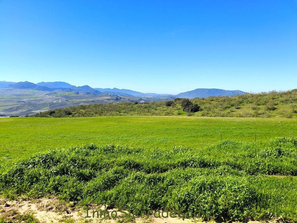 Finca/Landhuis te koop in Torre-Alhaquime - € 600.000 (Ref: 9730397)