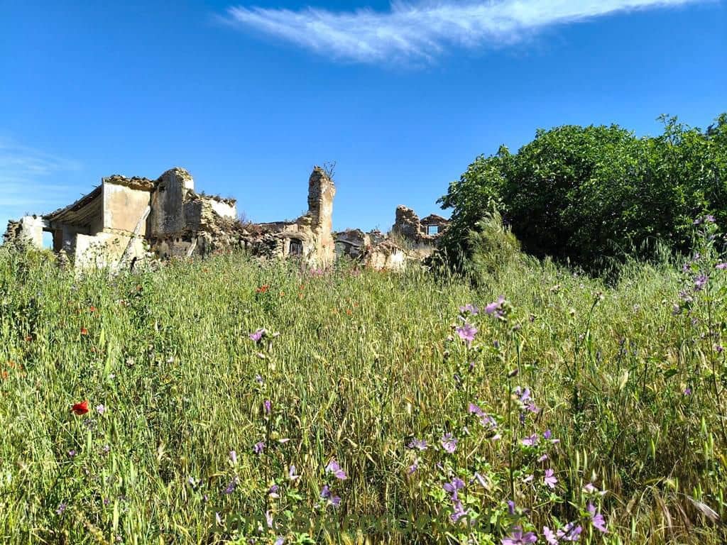 Finca/Landhuis te koop in Torre-Alhaquime - € 600.000 (Ref: 9730397)