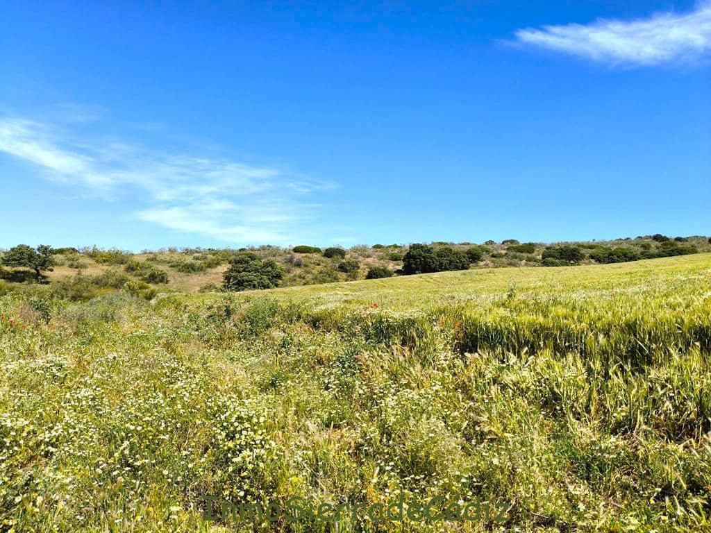 Finca/Landhuis te koop in Torre-Alhaquime - € 600.000 (Ref: 9730397)