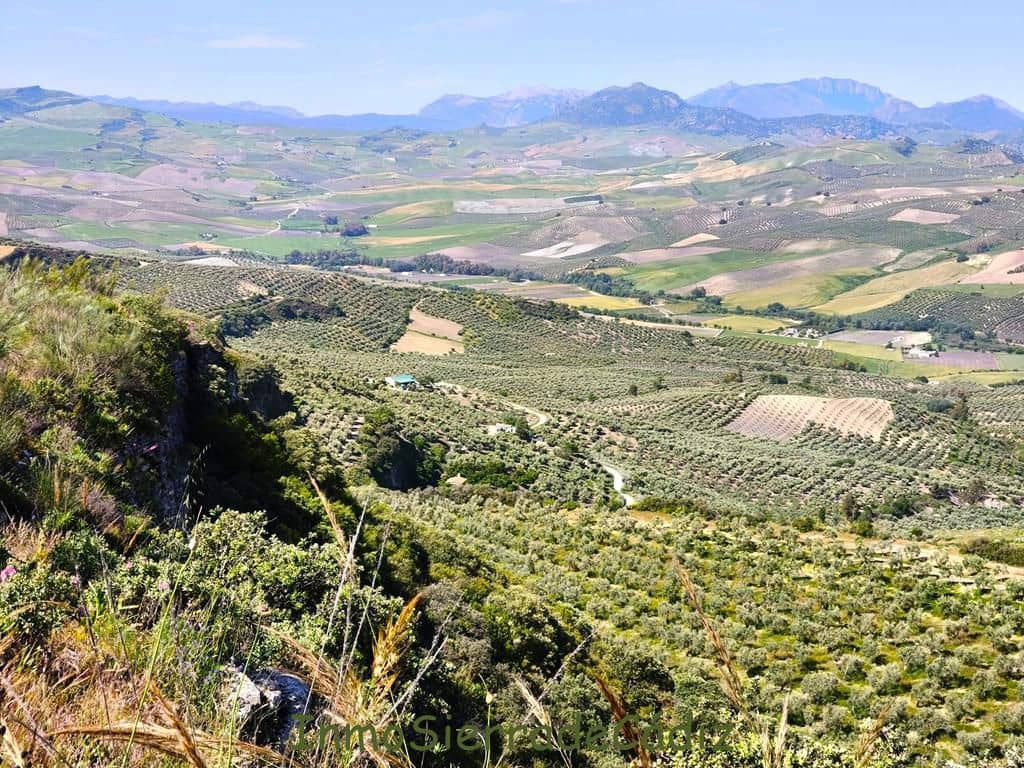 Finca/Landhuis te koop in Torre-Alhaquime - € 600.000 (Ref: 9730397)