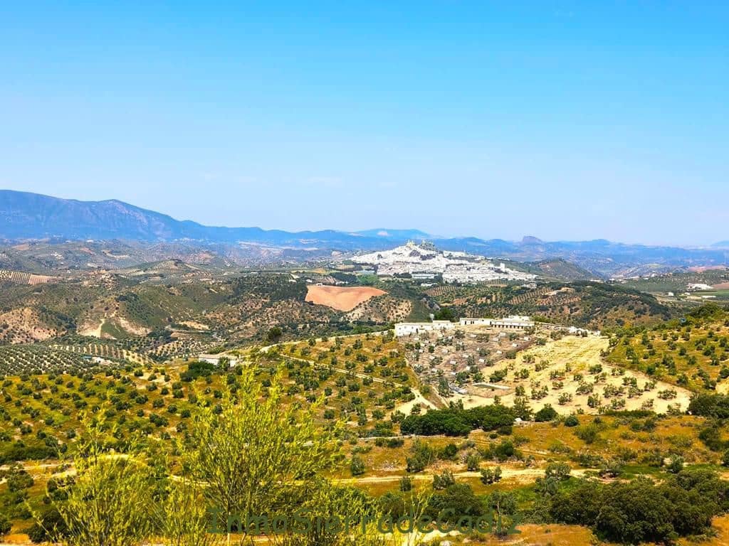 Finca/Landhuis te koop in Torre-Alhaquime - € 600.000 (Ref: 9730397)