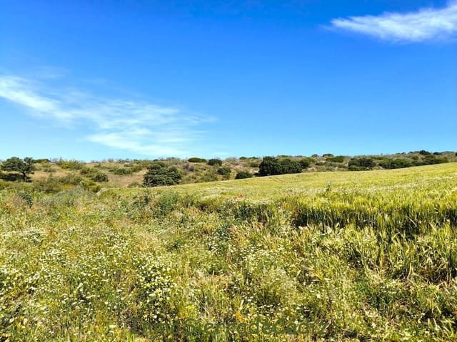 Finka/Dom wiejski na sprzedaż w Torre-Alháquime - 600 000 € (Ref: 9730397)