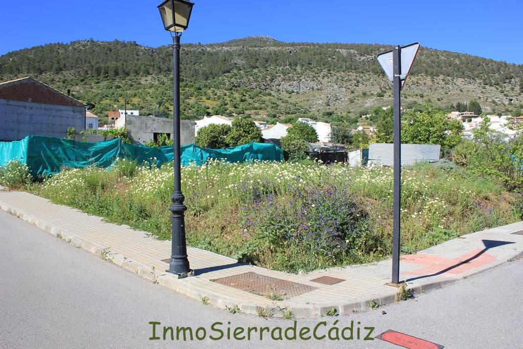 Teren niezagospodarowany na sprzedaż w Algodonales - 45 000 € (Ref: 9811368)